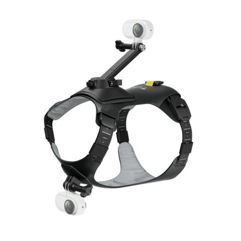 [レンタル] Insta360 ペットハーネスマウント サイズ M - 2