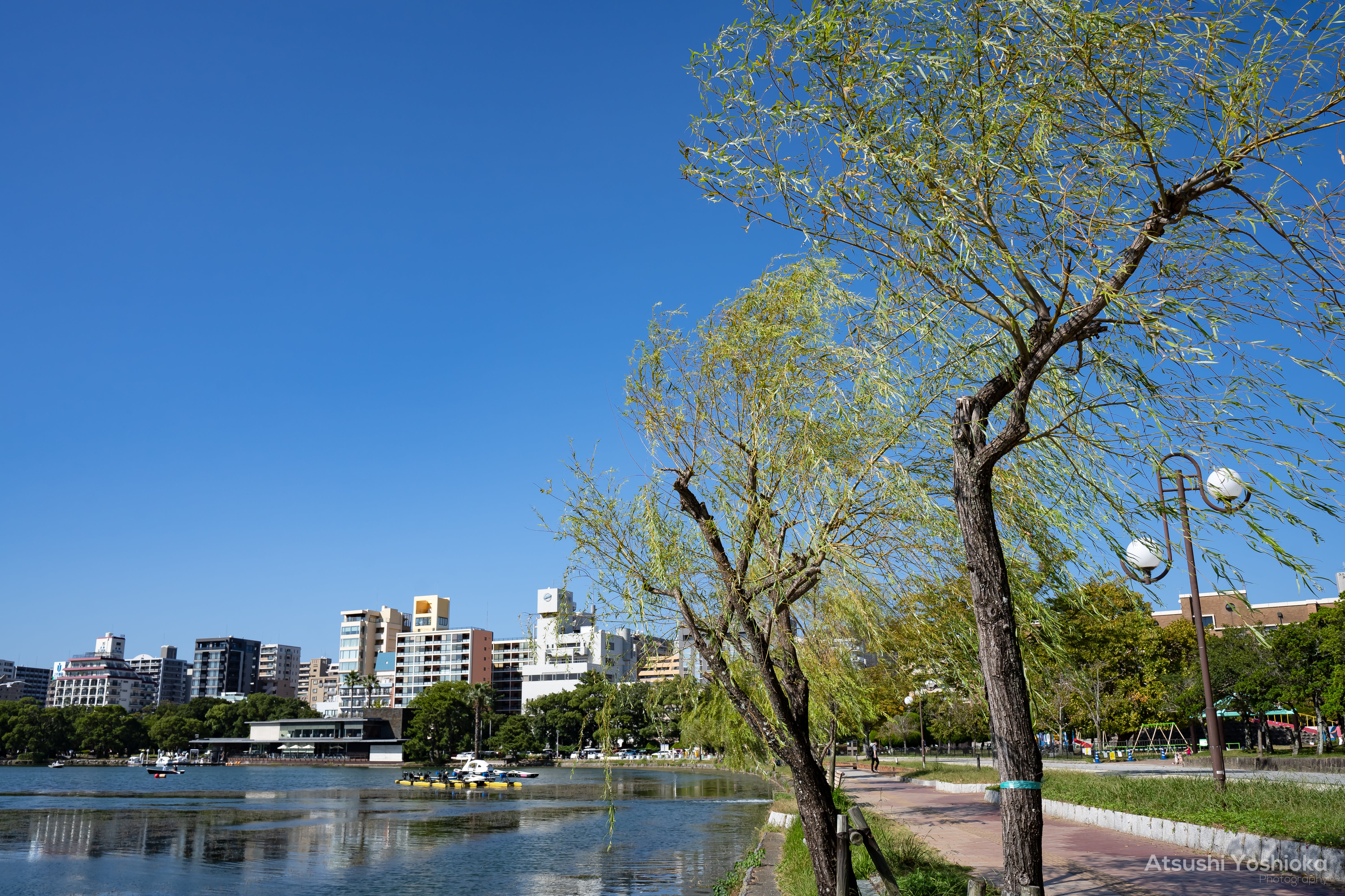 [レンタル] タムロン 28-75mm F/2.8 Di III VXD G2(Model A063) 標準ズームレンズ (SONY Eマウント用) - 8