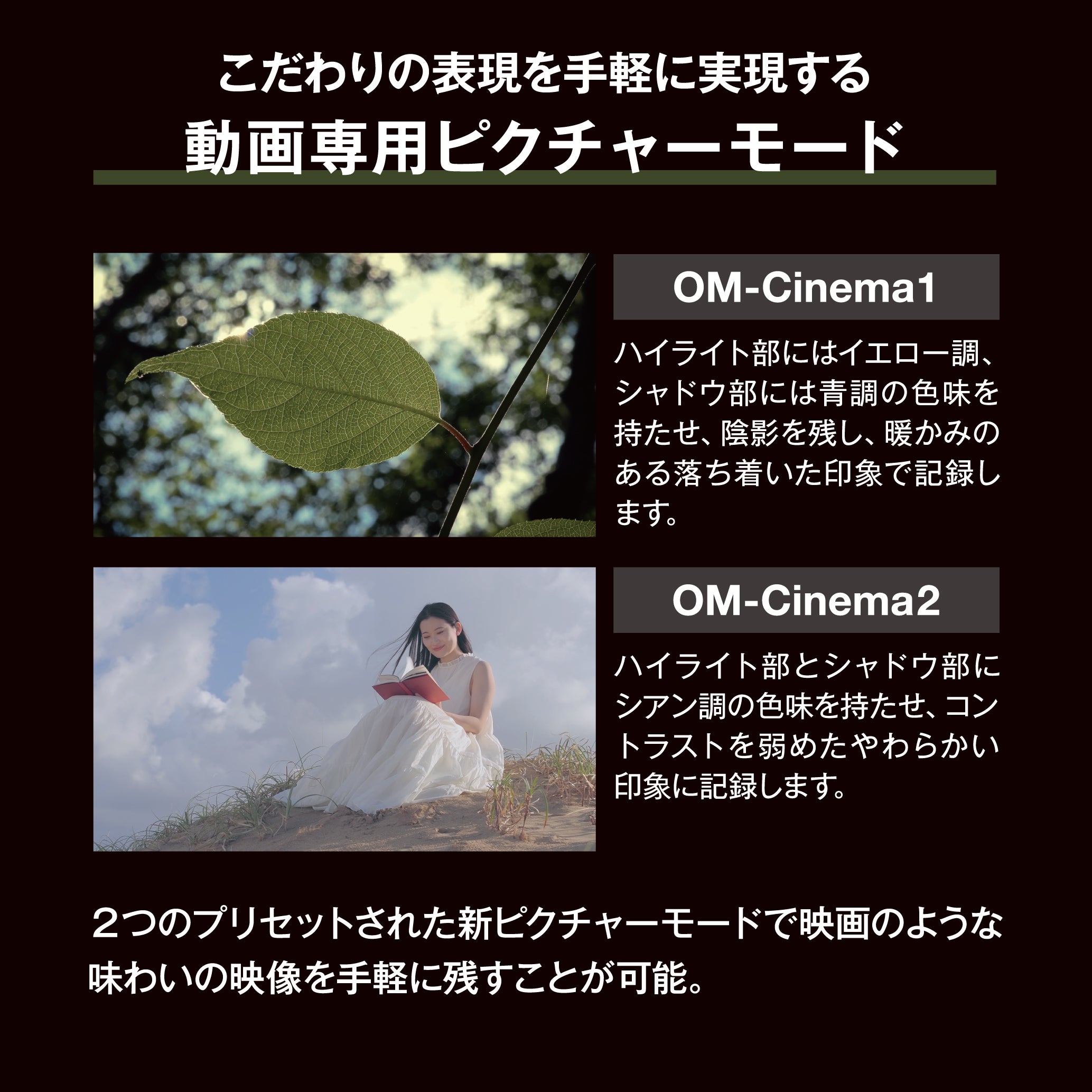 [レンタル] [発表会・野鳥・ペンサ] OM SYSTEM OM-3 & M.ZUIKO DIGITAL ED 75-300mm F4.8-6.7 II 超望遠ズームレンズセット - 6