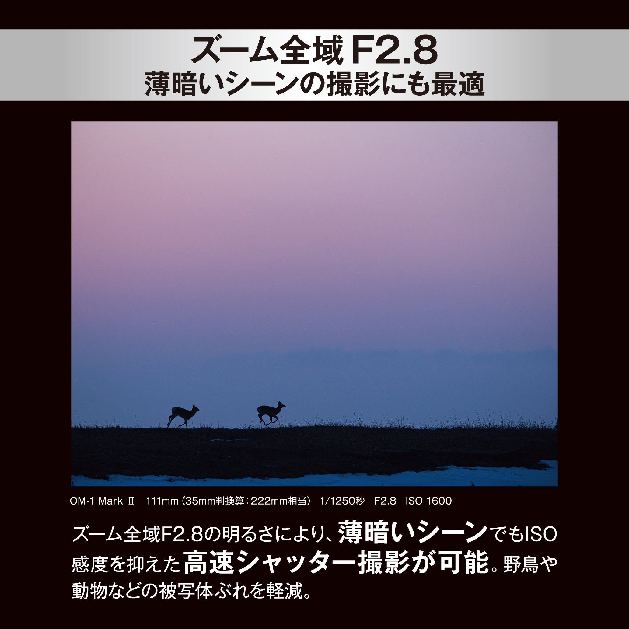 [レンタル] OM SYSTEM M.ZUIKO DIGITAL ED 50-200mm F2.8 IS PRO 超望遠ズームレンズ＋テレコンバーター MC-20 セット - 11
