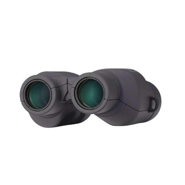 [レンタル] [倍率10倍]ビクセン SW10×25WP 防水双眼鏡 - 8
