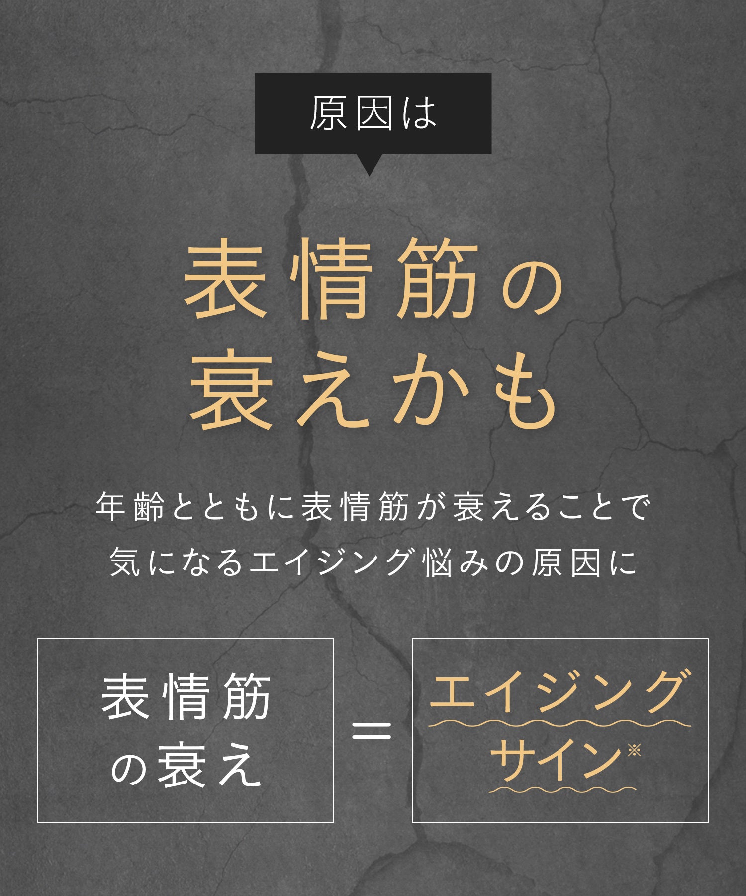 [レンタル] SALONIA サロニア EMSリフトブラシ 電気ブラシ 美顔器 - 8