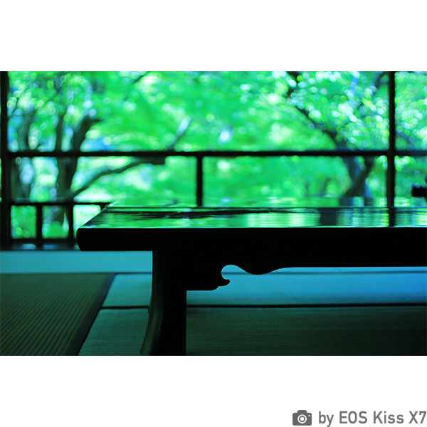 [レンタル] CANON EOS Kiss X7 ボディ 一眼レフ - 4