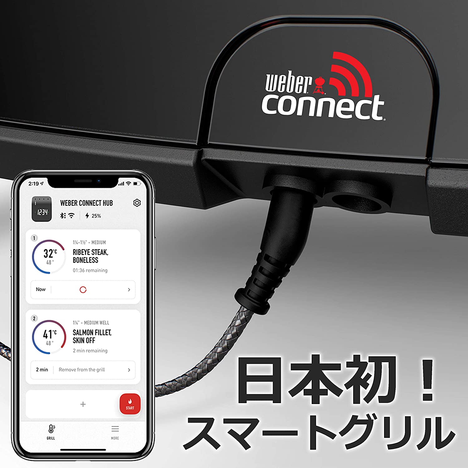 [レンタル] Weber ウェーバー バーベキューコンロ 電気グリル PULSE 1000 - 3