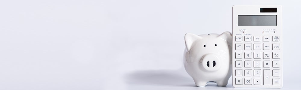 [レンタル] ダイニチ プラス(Dainichi Plus) ハイブリッド式加湿器 HD-RXT925（木造14.5畳/プレハブ24畳） - 4