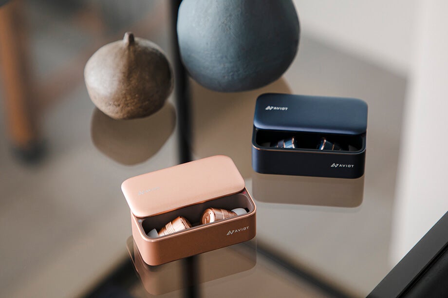 TE-BD21j-ltd-BL 新品未開封 ワイヤレスイヤホン AVIOT TE-BD21j-ltd ピエール中野コラボモデル【TE-BD21j-ltdpnk