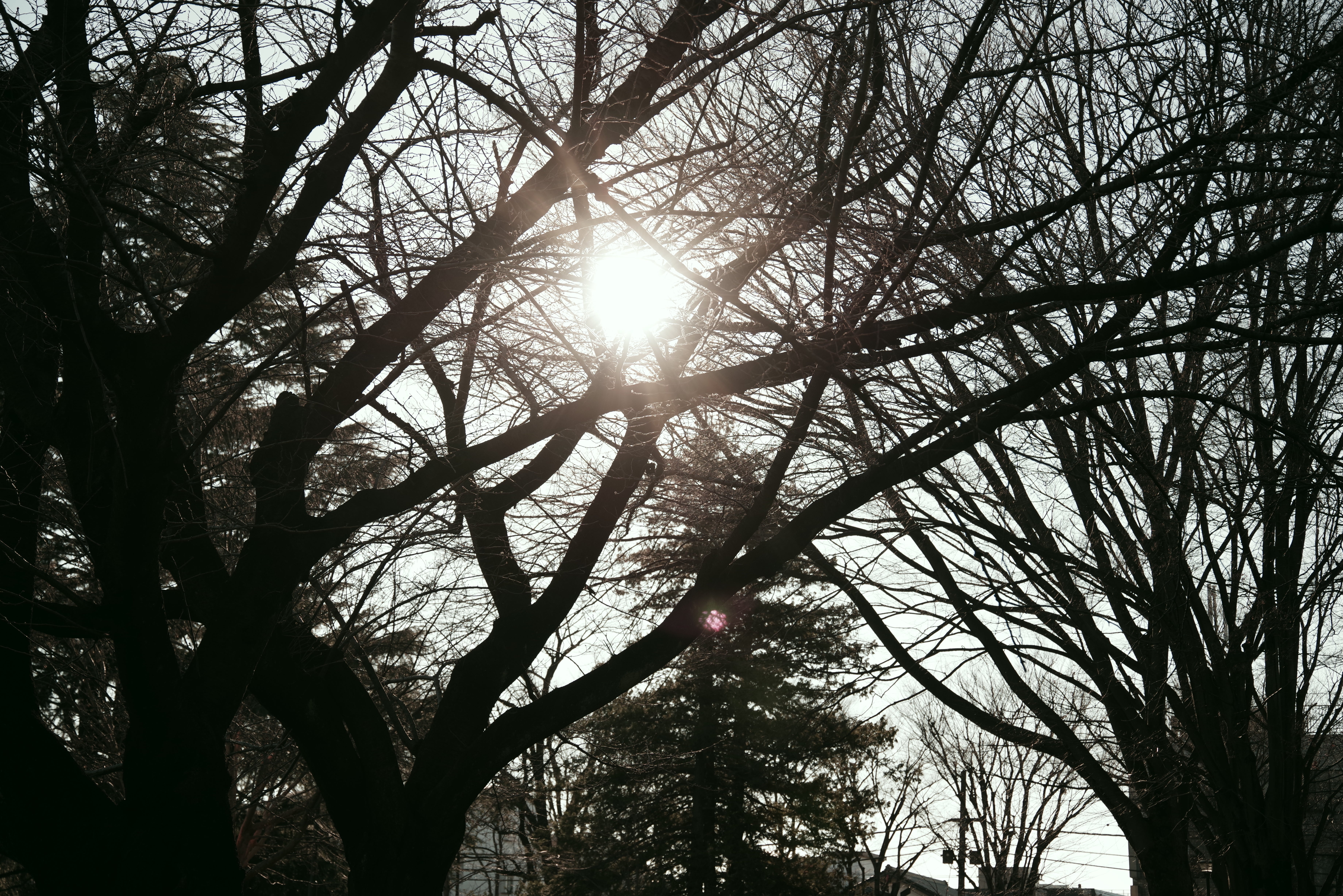 [レンタル] リコー PENTAX K-1 Mark II ボディ 一眼レフ - 6