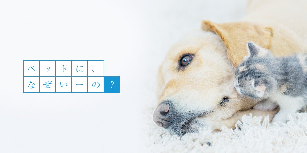 [レンタル] パナソニック ジアイーノ F-MVB21-WZ 次亜塩素酸 空間除菌脱臭機 - 3