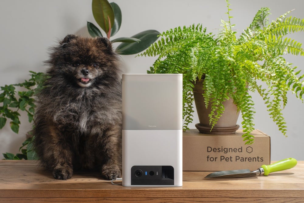 [レンタル] Modernity Petcube Bites 2 Lite BL10US 室内用ペット見守りカメラ - 5