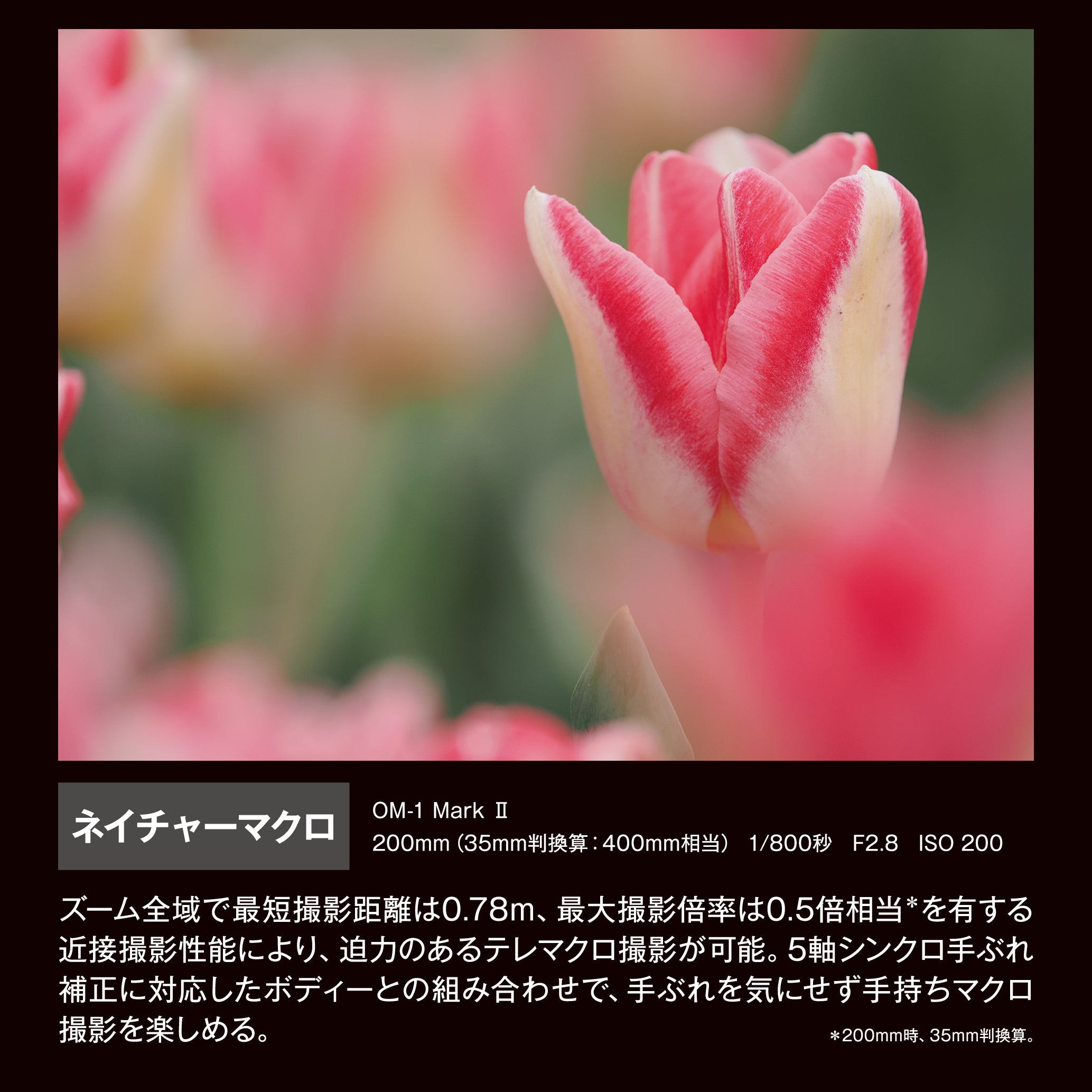 [レンタル] OM SYSTEM M.ZUIKO DIGITAL ED 50-200mm F2.8 IS PRO 超望遠ズームレンズ＋テレコンバーター MC-20 セット - 13