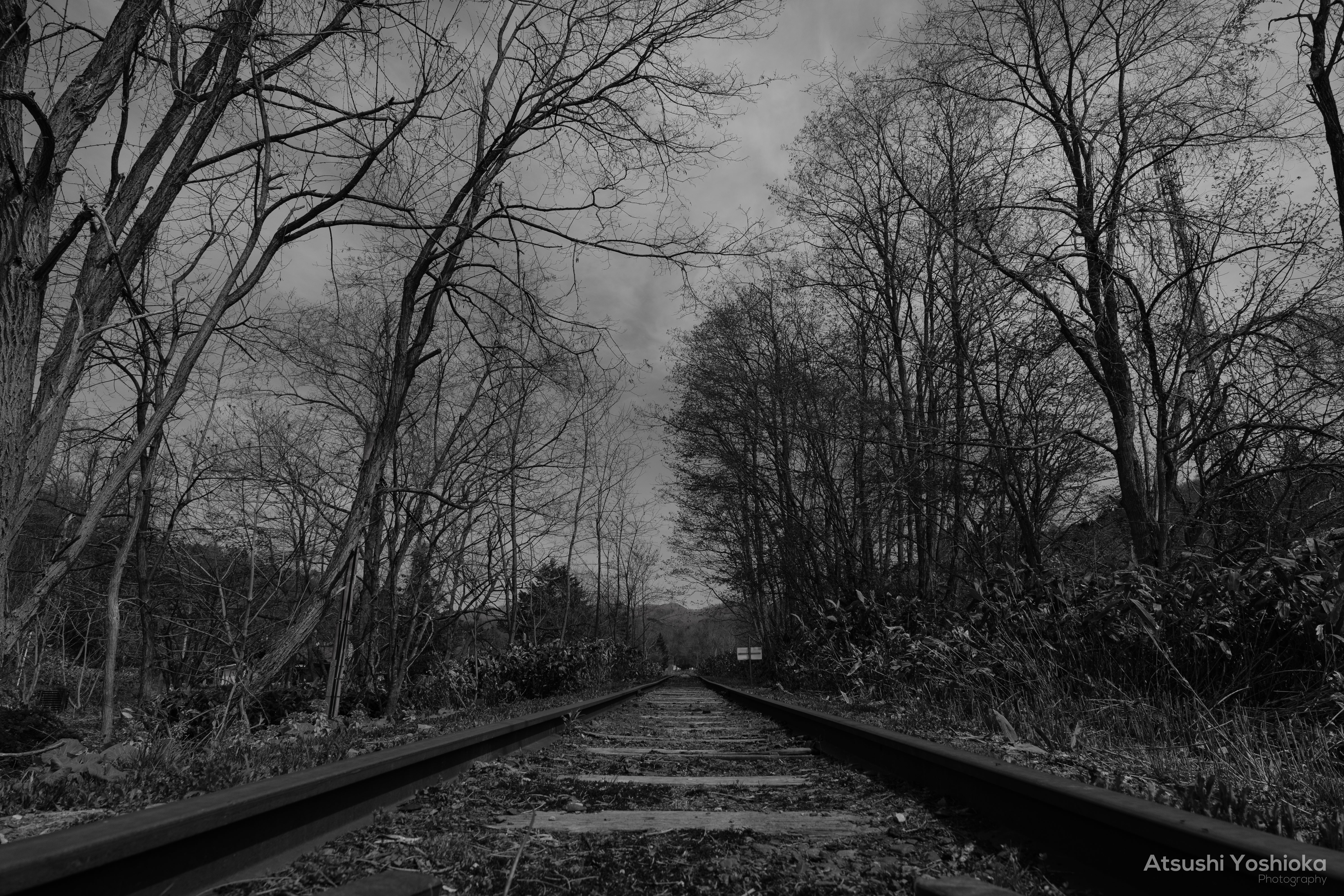 [レンタル] パナソニック LUMIX DC-S1 ボディ ミラーレス一眼 - 8