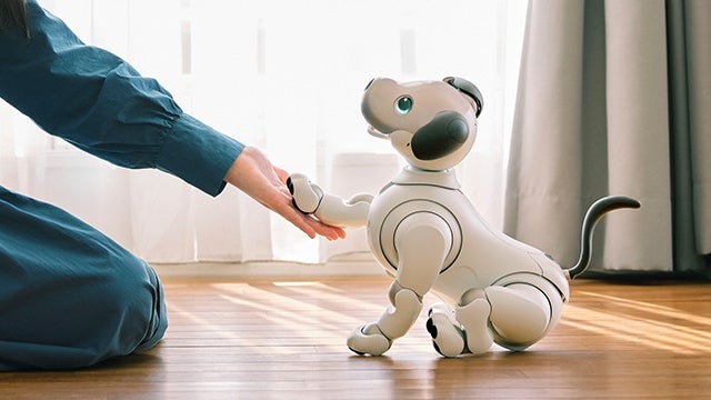 [レンタル] ソニー エンタテインメントロボット aibo アイボリーホワイト 足裏パッド付き - 10