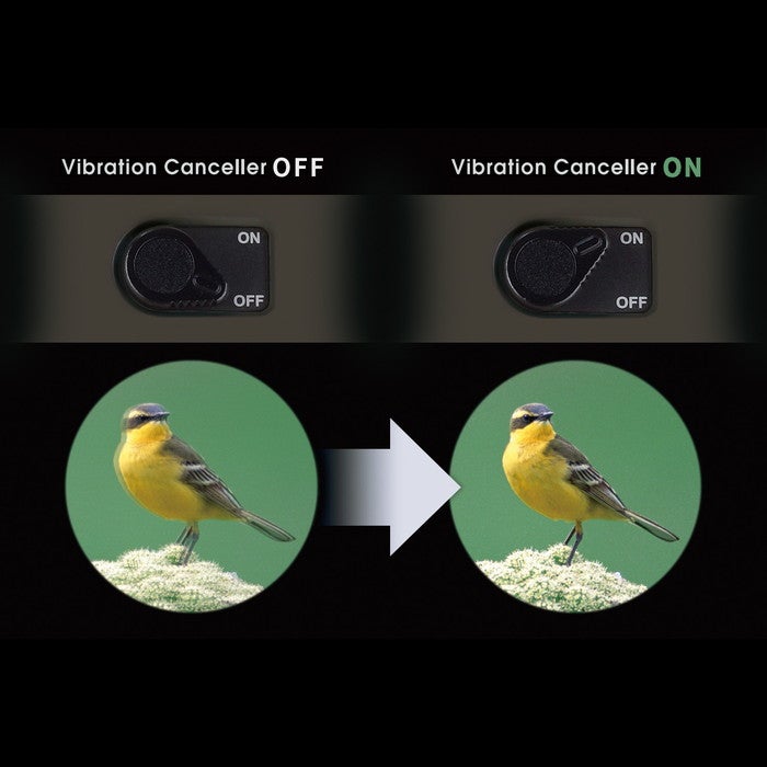 [レンタル] [倍率10倍]ビクセン ATERA ⅡH10×21 コンサート・ライブ向け 防振双眼鏡 グレージュ - 11