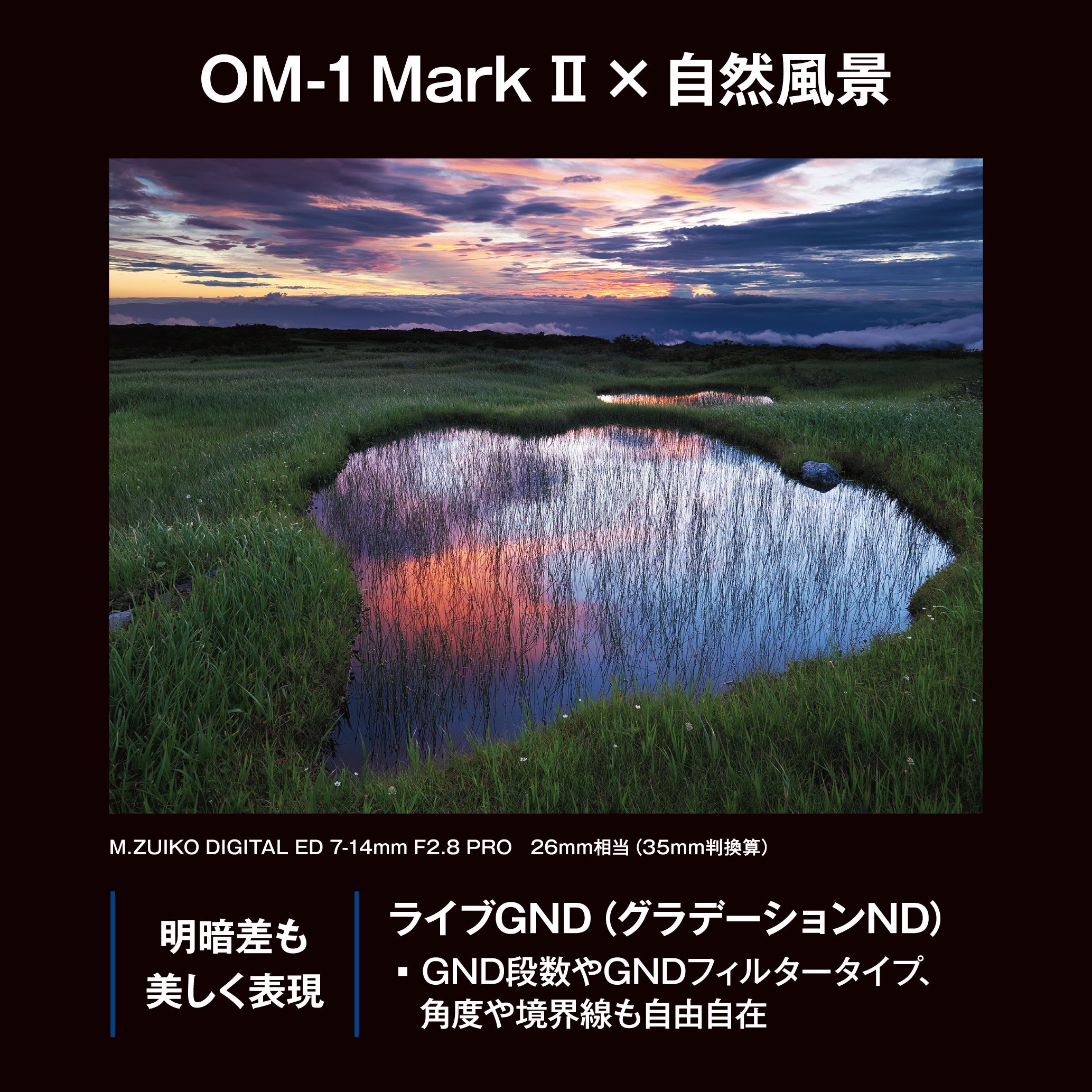 [レンタル] OM SYSTEM OM-1 Mark II ボディ ミラーレス一眼 - 19