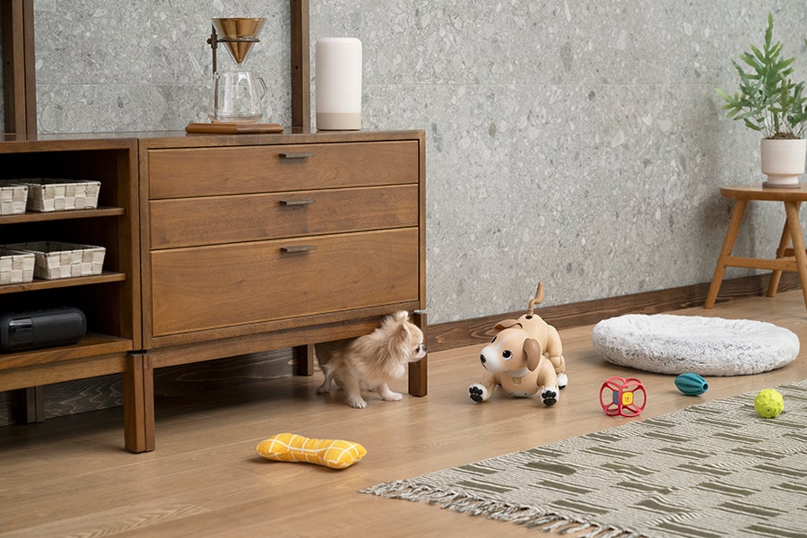 [レンタル] ソニー エンタテインメントロボット aibo きなこエディション 足裏パッド付き - 7