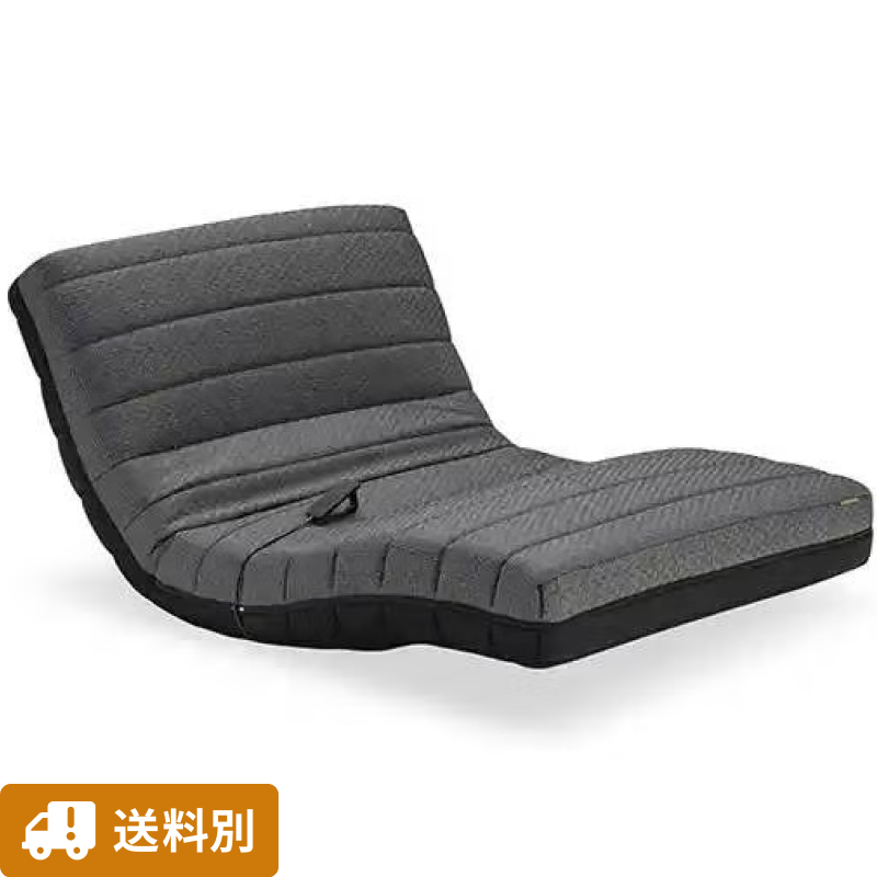 【送料別 / シングル】フランスベッド 電動リクライニングマットレス ルーパームーブRP-3000 シングルサイズ