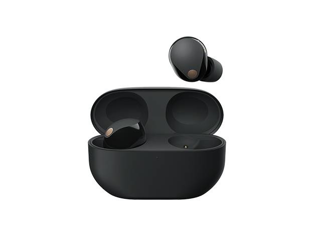 [レンタル] ソニー ワイヤレスノイズキャンセリングステレオヘッドセット WF-1000XM5 - 9