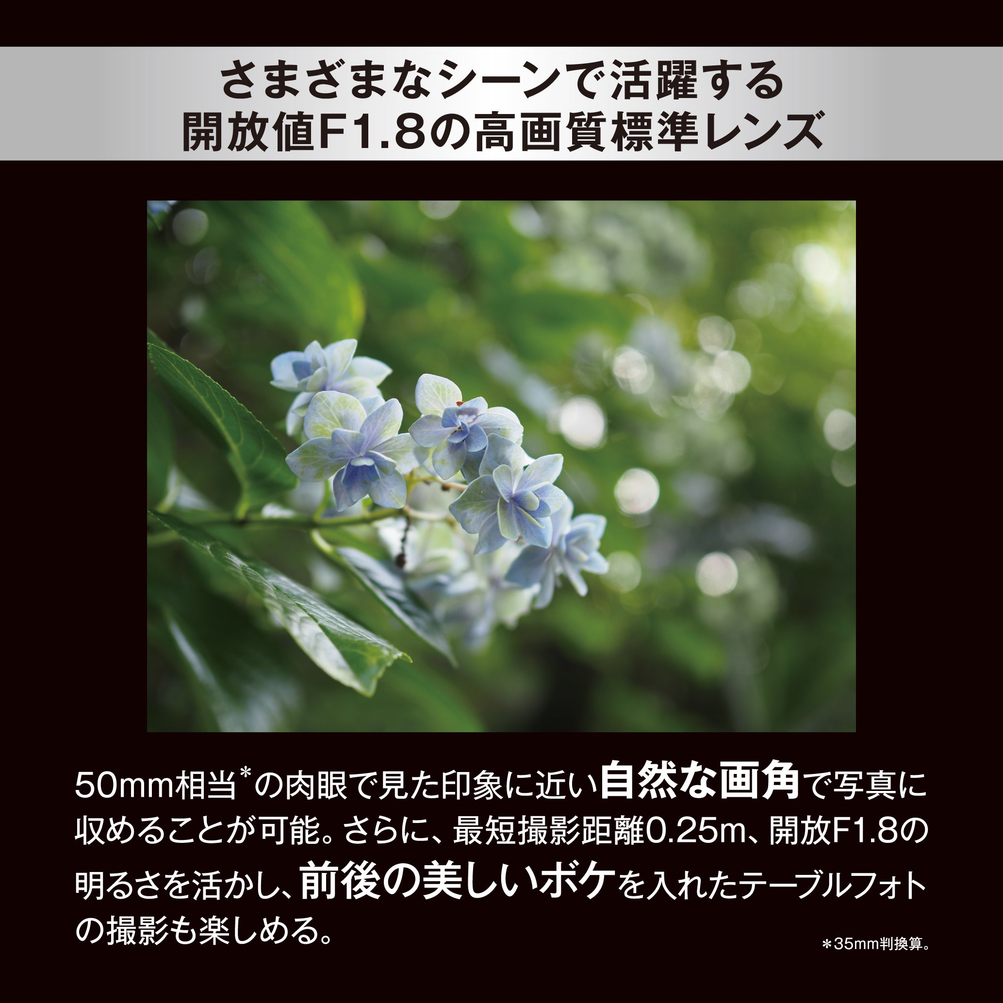 [レンタル] OM SYSTEM M.ZUIKO DIGITAL 25mm F1.8 II 単焦点レンズ - 3