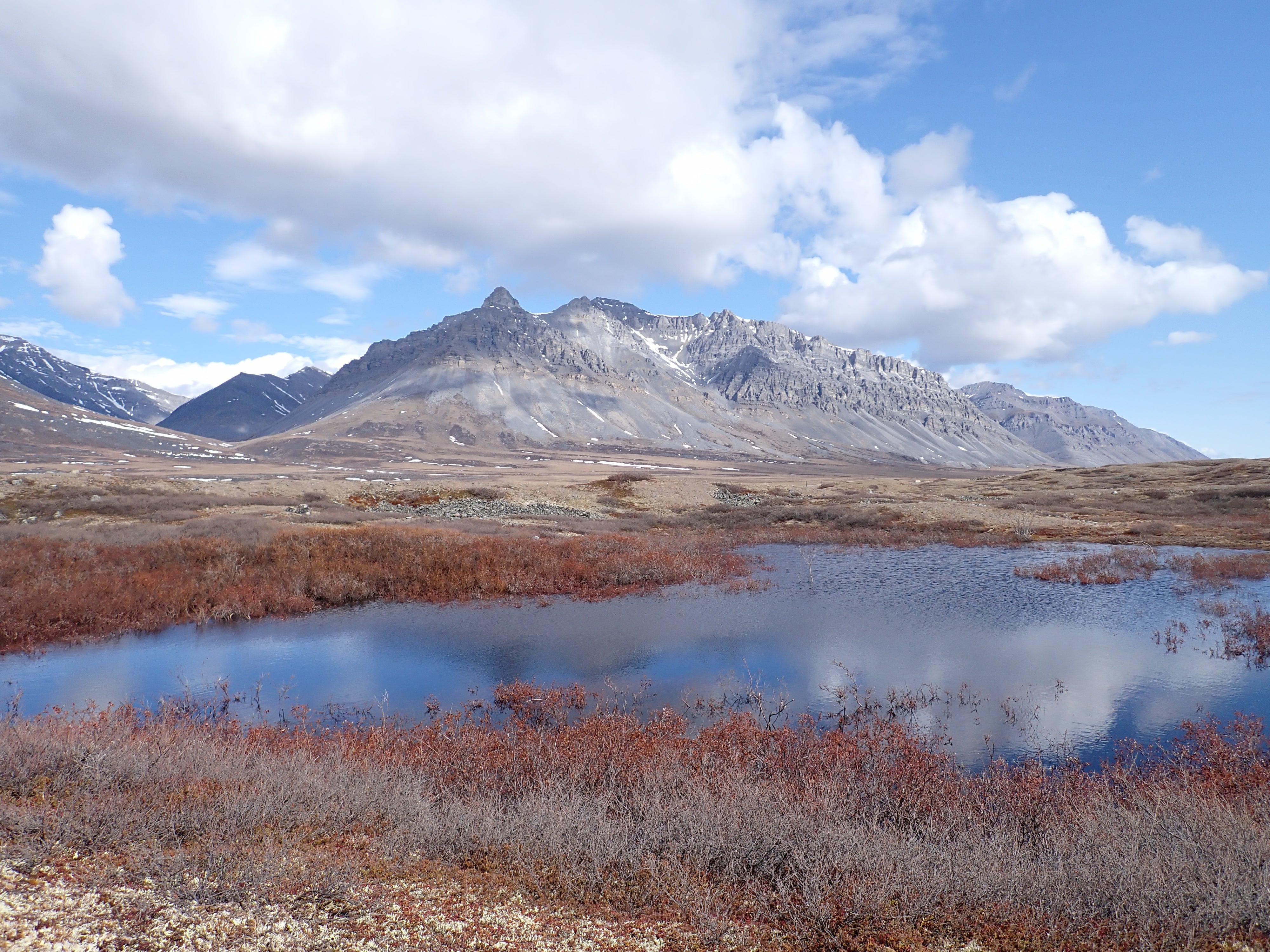 [レンタル] OM SYSTEM 防水カメラ Tough TG-7 コンパクトデジタルカメラ - 13