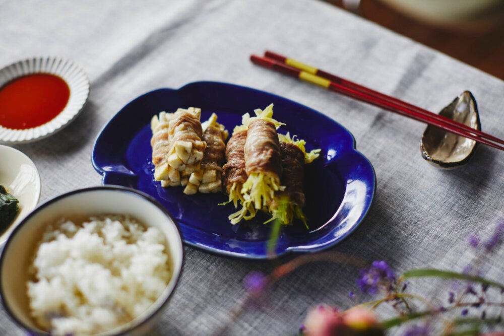 レンタル] デリソフター DS-1C（炊飯器・電気圧力鍋・やわらか食