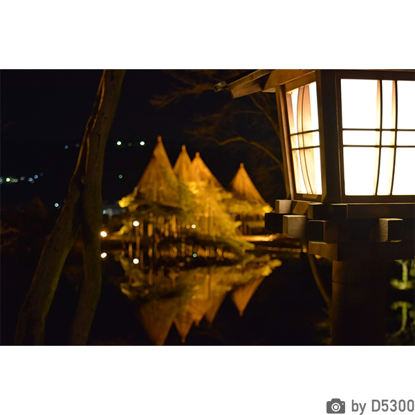 [レンタル] ニコン D5300 ボディ 一眼レフ - 3