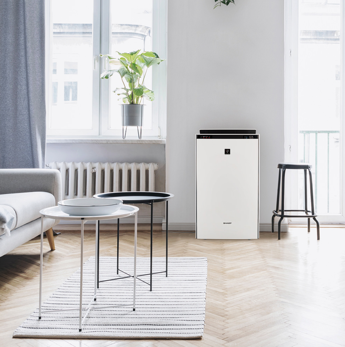 SHARP KI-RX70 加湿空気清浄機 2024年製 プラズマクラスター 空気浄化 | KI-RX70 | 空気清浄機：シャープ