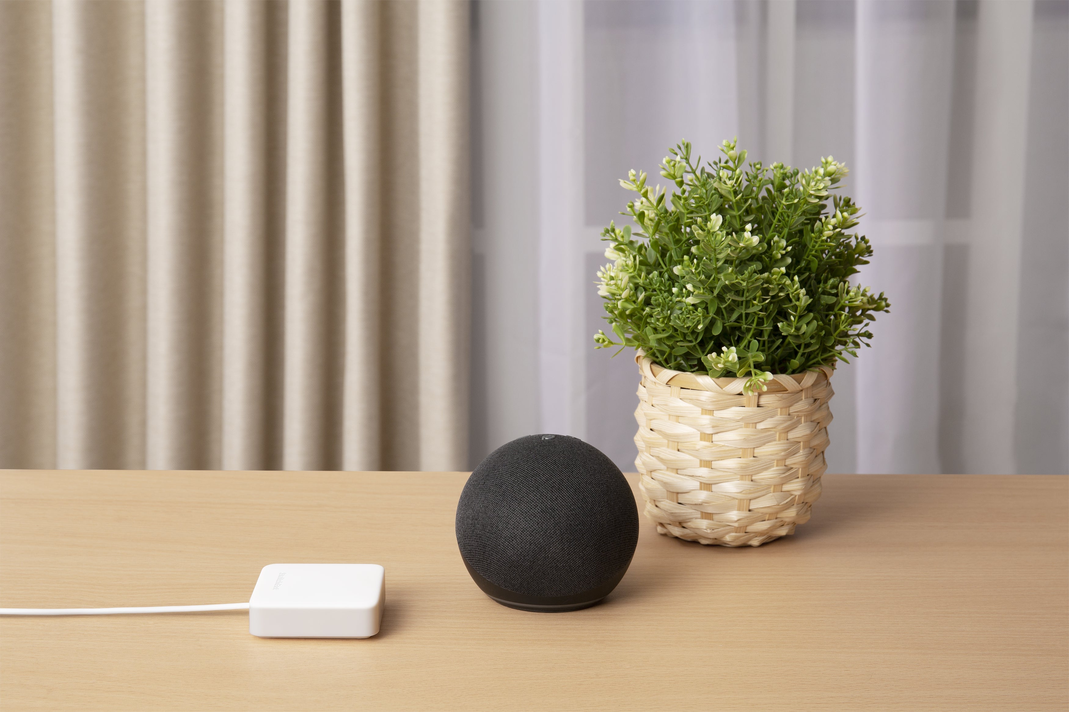 [レンタル] SwitchBot（スイッチボット） スマートリモコン ハブミニ Hub Mini - 13