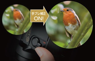 [レンタル] [倍率10倍]ケンコー・トキナー VC Smart 10×30 コンサート・ライブ向け 防振双眼鏡 - 7