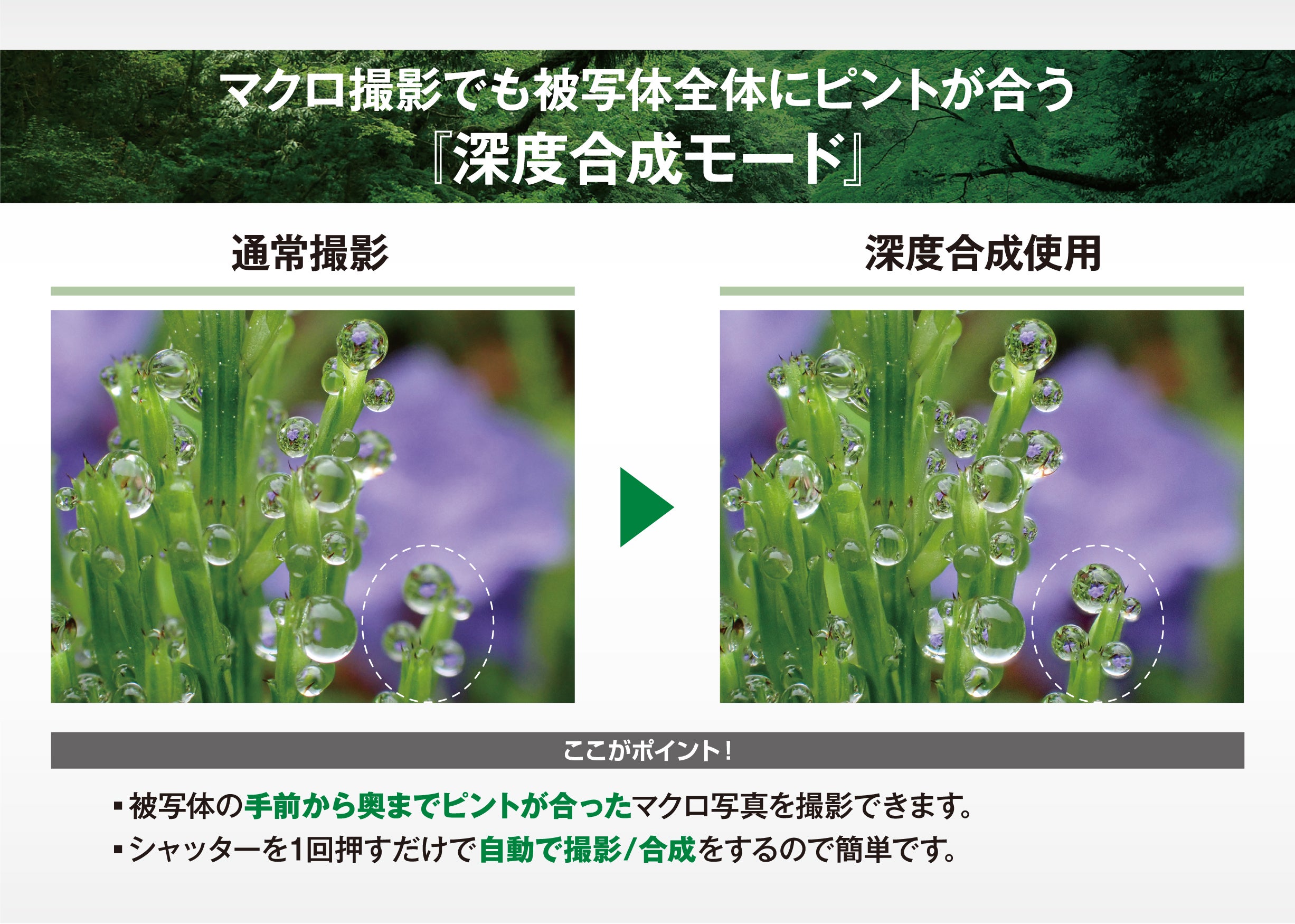 [レンタル] OM SYSTEM 防水カメラ Tough TG-7 コンパクトデジタルカメラ - 20