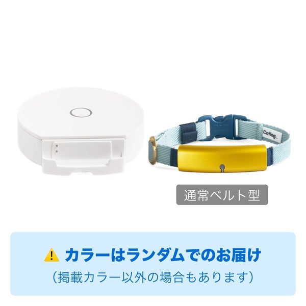 [色はランダムでお届け]Catlog（キャトログ）基本セット 第一世代