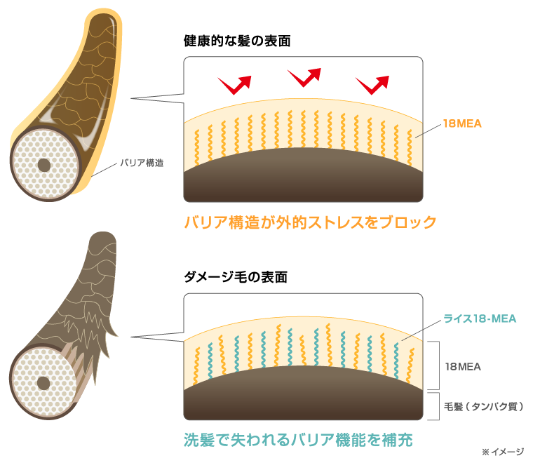 [レンタル] ヤーマン シャインプロ 超音波ヘアトリートメント - 11