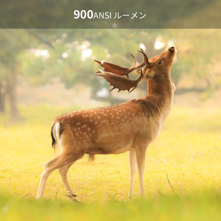 [レンタル] XGIMI ハイエンド・ポータブルプロジェクター Halo＋ - 5