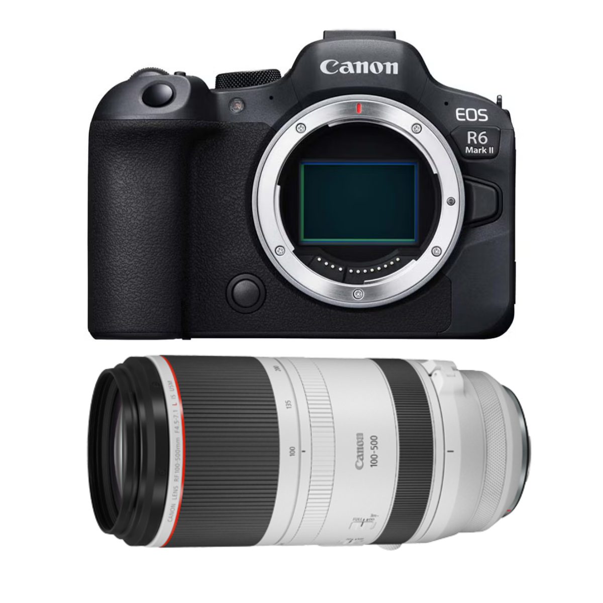 [レンタル] CANON EOS R6 Mark II ＆ CANON RF100-500mm F4.5-7.1 L IS USM 望遠ズームレンズ セット