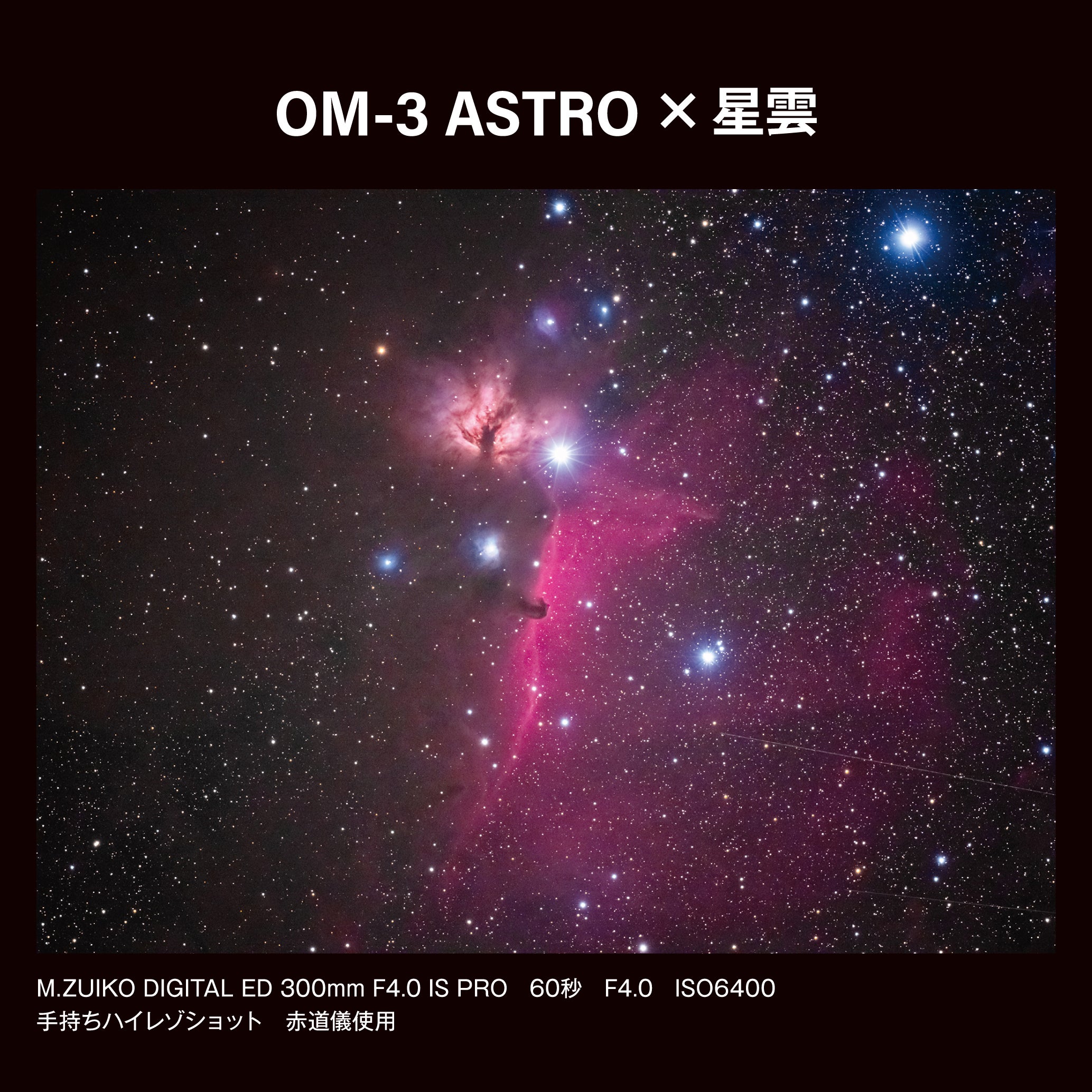 [レンタル] OM SYSTEM OM-3 ASTRO ボディ ミラーレス一眼 - 11