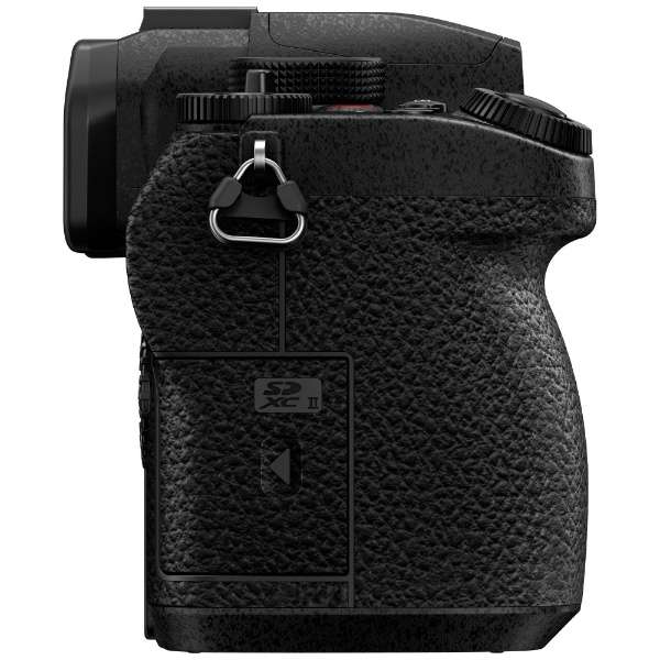 [レンタル] パナソニック LUMIX DC-G99M2H 高倍率ズームレンズキット ミラーレス一眼 - 12