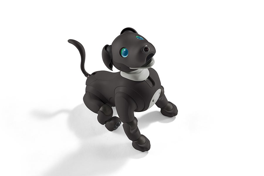 [レンタル] ソニー エンタテインメントロボット aibo エスプレッソエディション 足裏パッド付き - 2