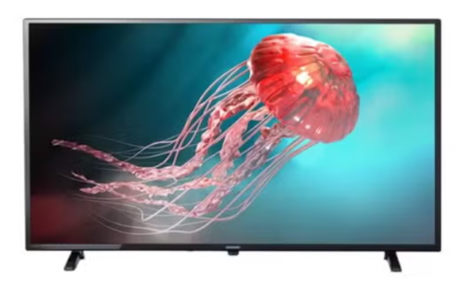 テレビ 映像録画/再生機器 月額制プラン 初月50%OFF