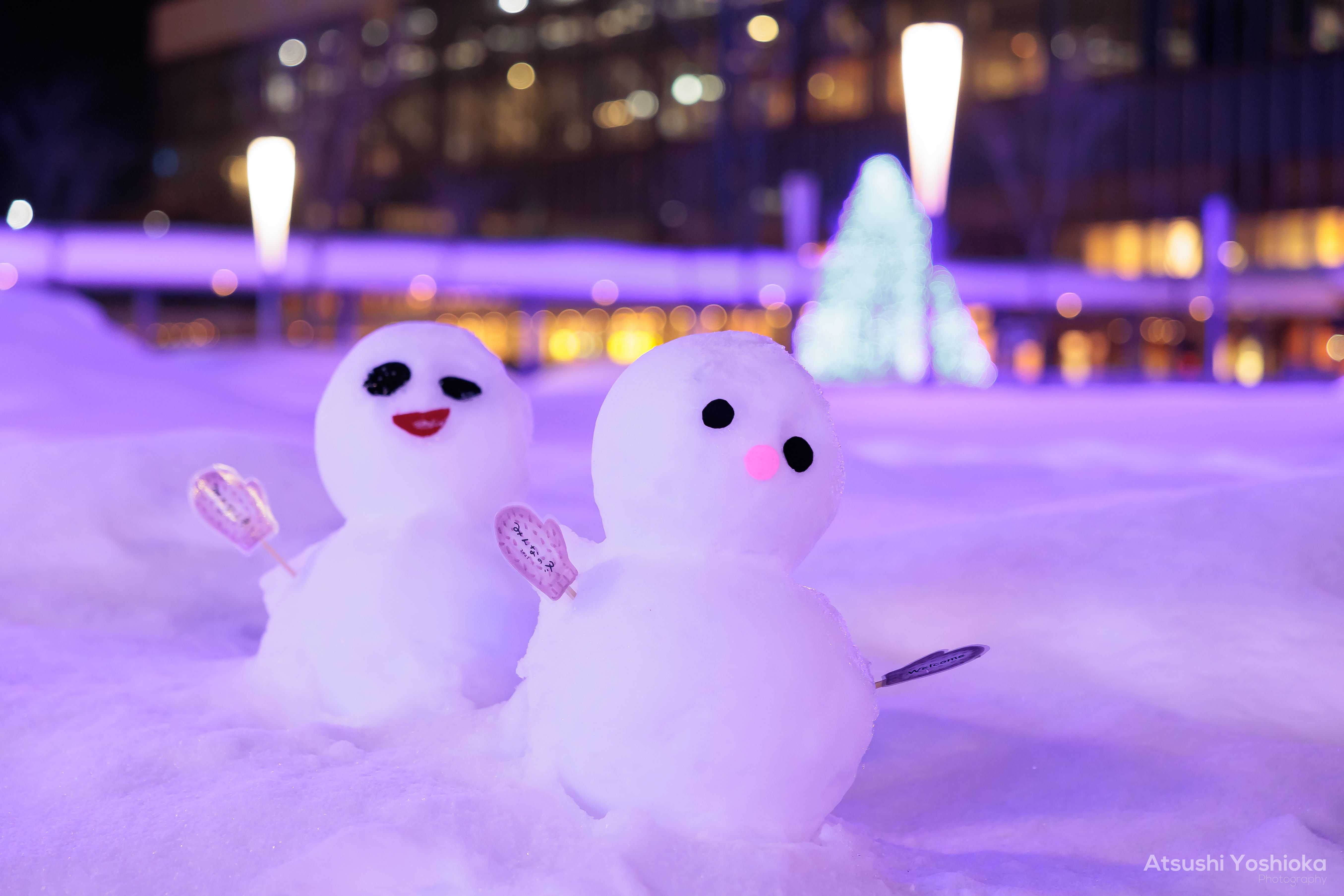 [レンタル] CANON RF24-70mm F2.8 L IS USM 標準ズームレンズ - 8