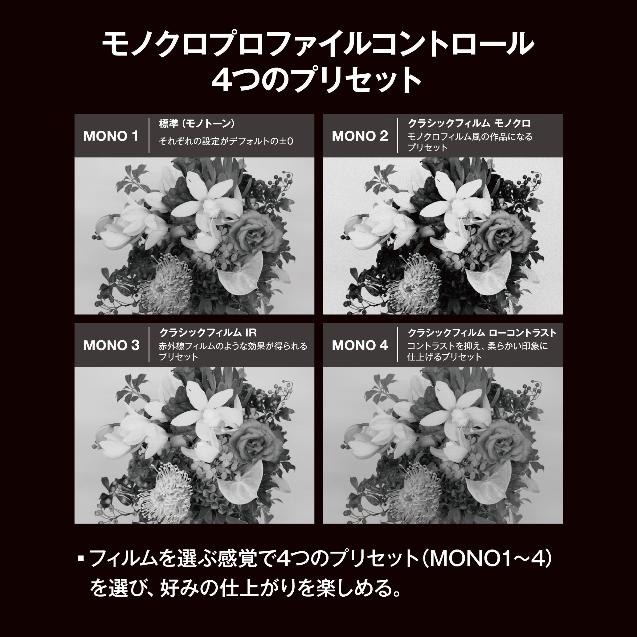 [レンタル] [発表会・野鳥・ペンサ] OM SYSTEM OM-3 & M.ZUIKO DIGITAL ED 75-300mm F4.8-6.7 II 超望遠ズームレンズセット - 8