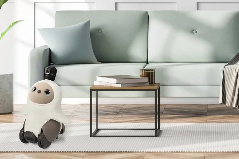 [レンタル] LOVOT 2.0(らぼっと) ソロ - 5