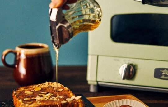 [レンタル] [2枚焼き]Aladdin AET-GS13D グラファイトトースター - 8