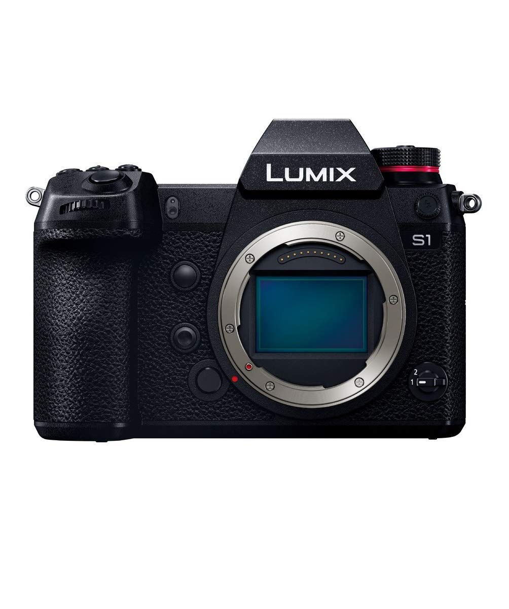 [レンタル] パナソニック LUMIX DC-S1 ボディ ミラーレス一眼 - 1
