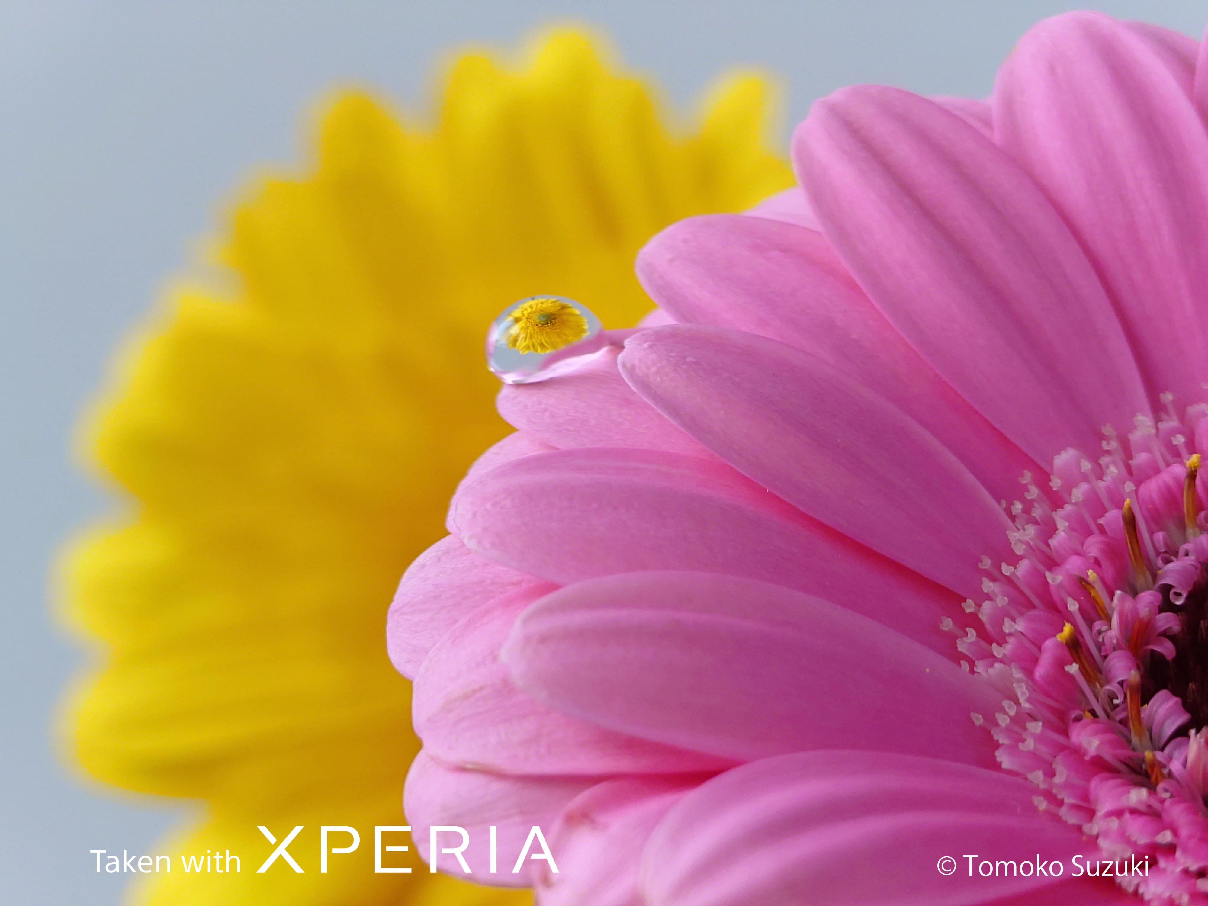 [レンタル] 推し活・特典会・撮可ライブ向け ソニー Xperia 1 VII SIMフリーモデル（12GB/512GBタイプ）スマートフォン - 9