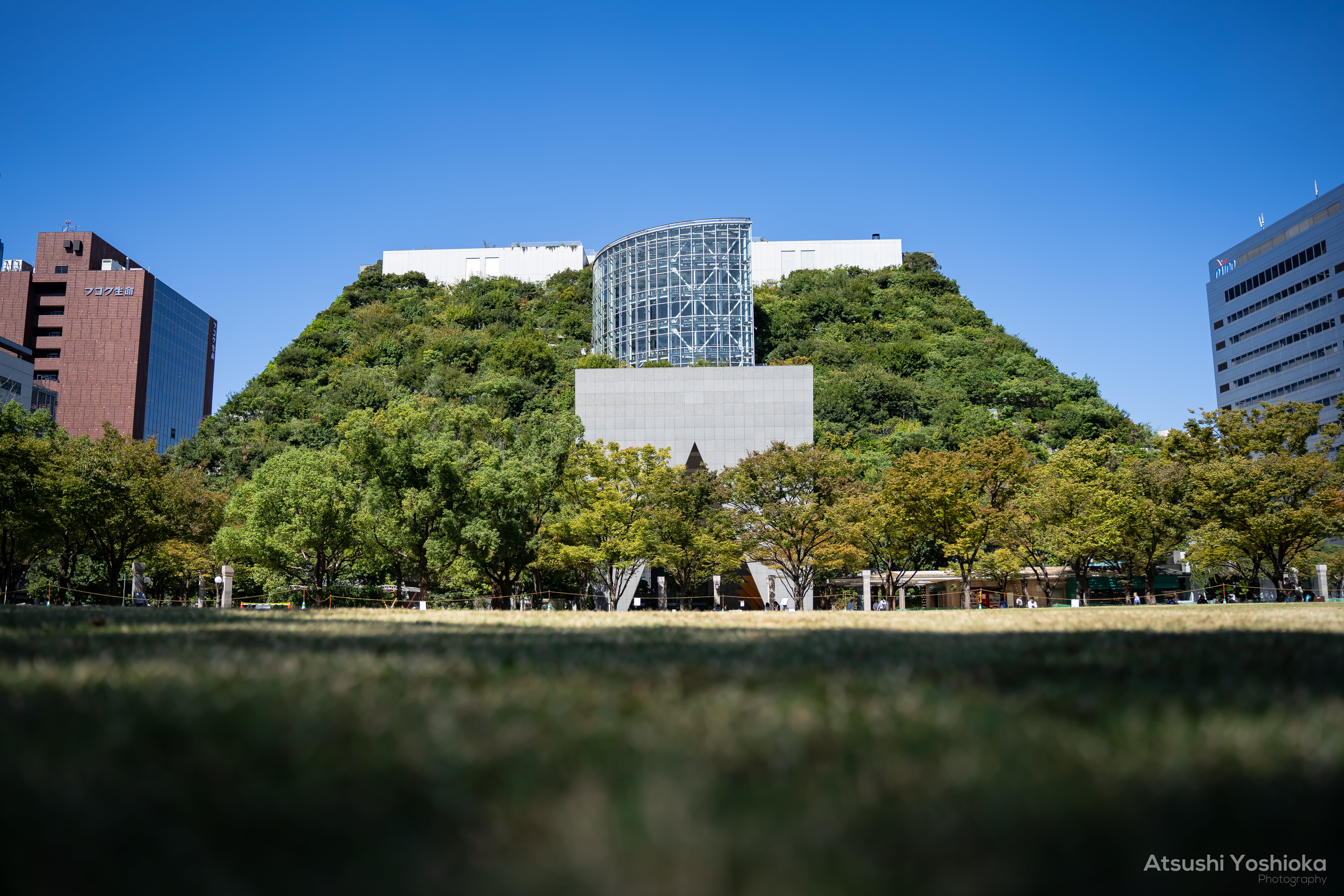 [レンタル] タムロン 28-75mm F/2.8 Di III VXD G2(Model A063) 標準ズームレンズ (SONY Eマウント用) - 7