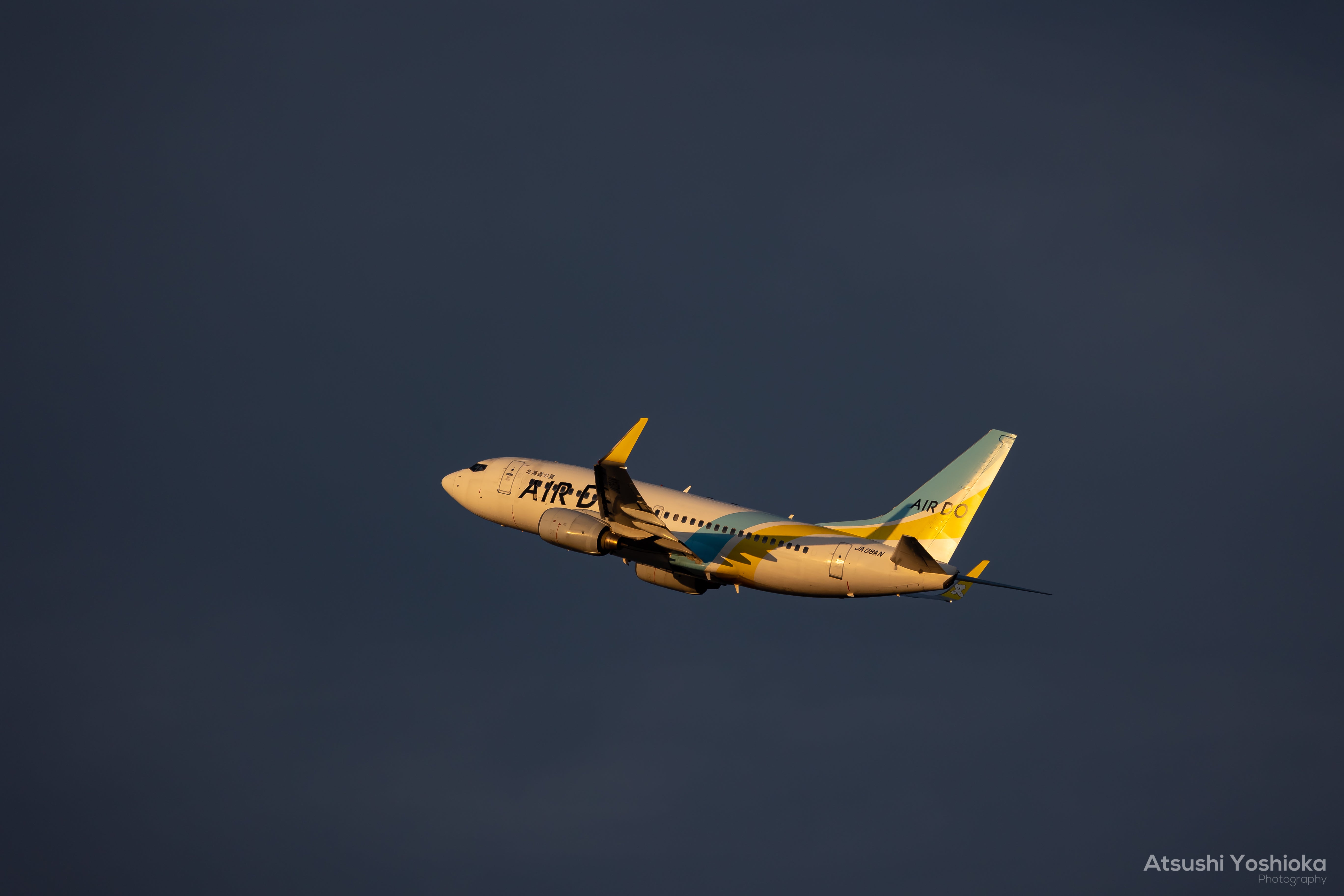 [レンタル] CANON RF100-400mm F5.6-8 IS USM 望遠ズームレンズ - 7