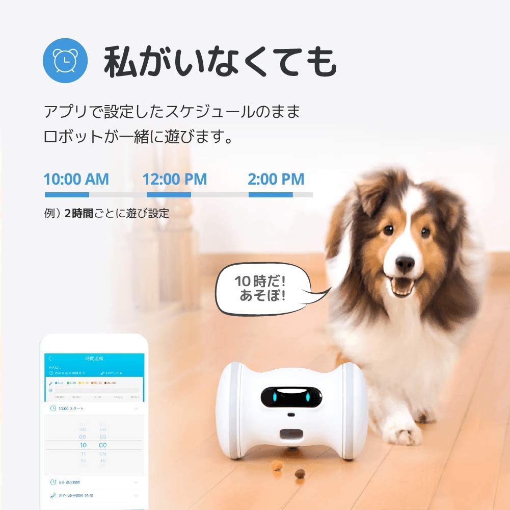 [レンタル] VARRAM ペット専用ロボット 犬と猫のためのロボット VRPF1000 - 4