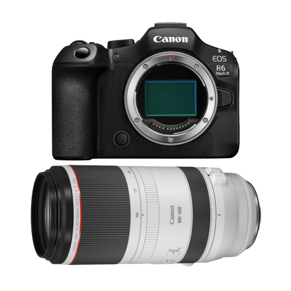 [レンタル] CANON EOS R6 Mark III ＆ CANON RF100-500mm F4.5-7.1 L IS USM 望遠ズームレンズ セット - 1