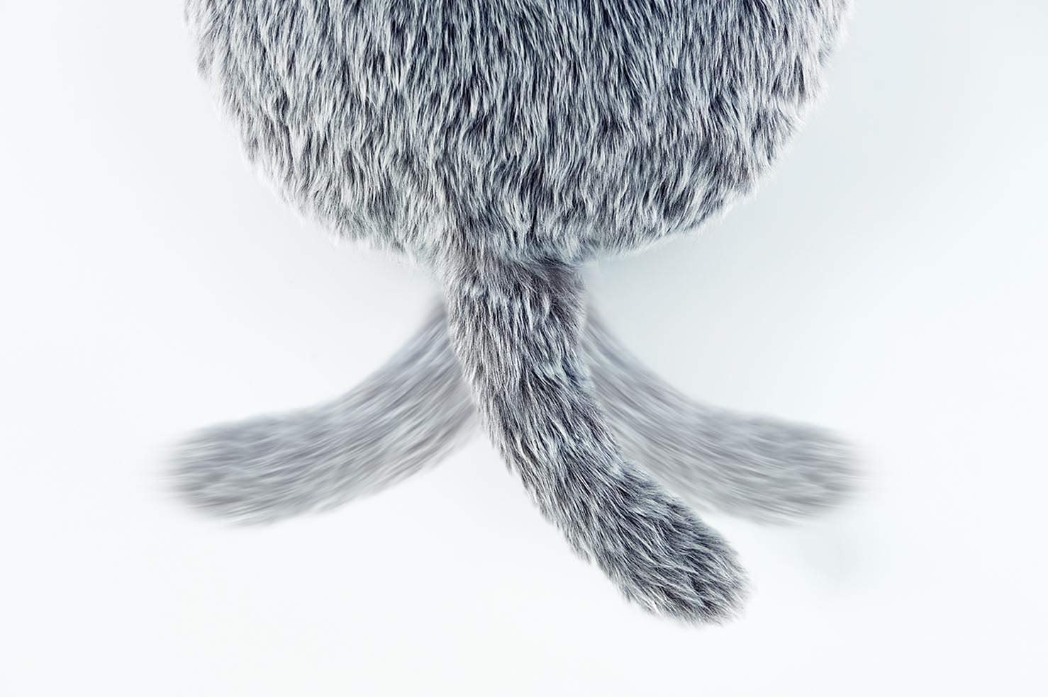 [レンタル] Qoobo 心を癒やす、しっぽクッション - 5