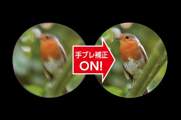 [レンタル] [倍率10倍]ケンコー・トキナー VC Smart 10×30WP 防水仕様 コンサート・ライブ向け 防振双眼鏡 - 6