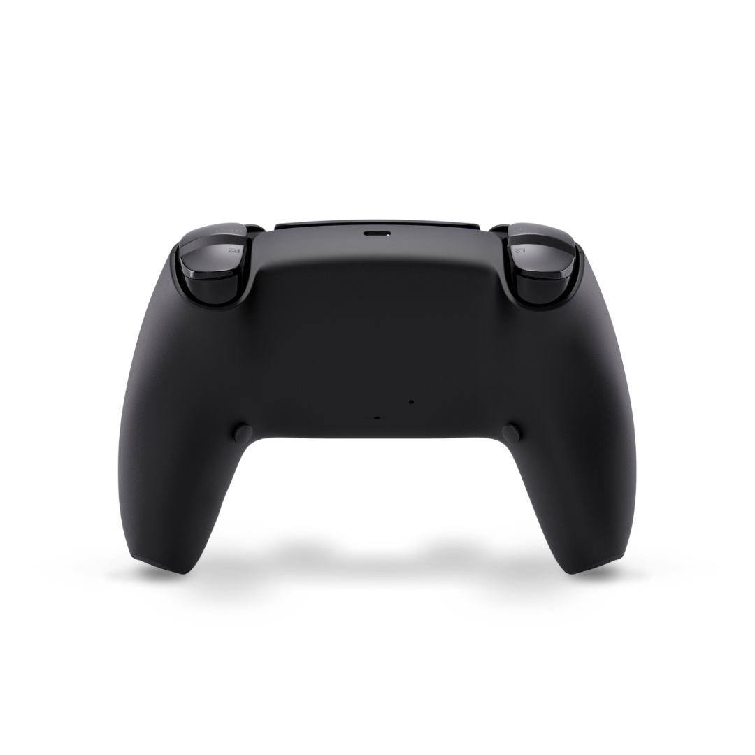 [レンタル] AndGamer Void INTUITION PRO フルカスタム PS5用Voidコントローラー - 2